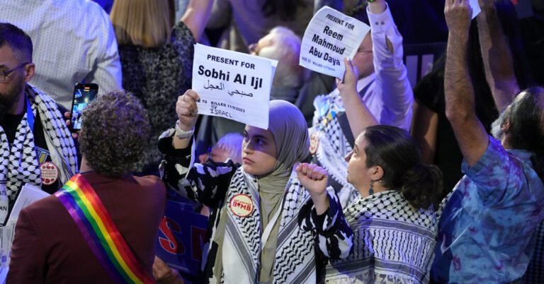 Advocates for Palestinians vie for attention at the Democratic convention.