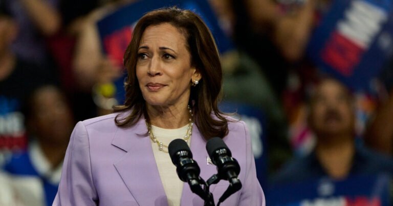 What We Know About Kamala Harris’s $5 Trillion Tax Plan So Far