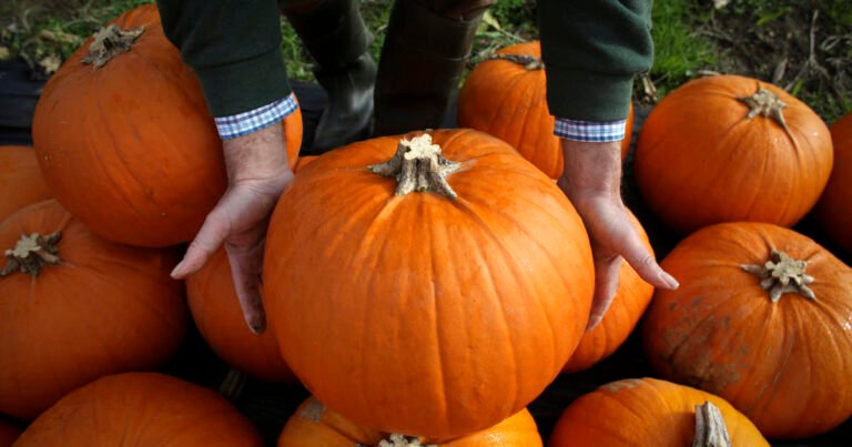 Pumpkin spice season kicks off earlier each year. Here’s a look at the history of America’s enduring love for the pie-inspired flavor