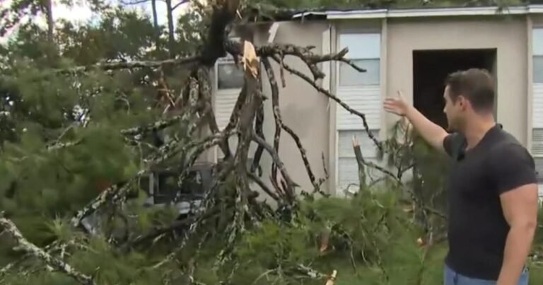 Hurricane Helene hits Florida homeowners already facing soaring insurance costs